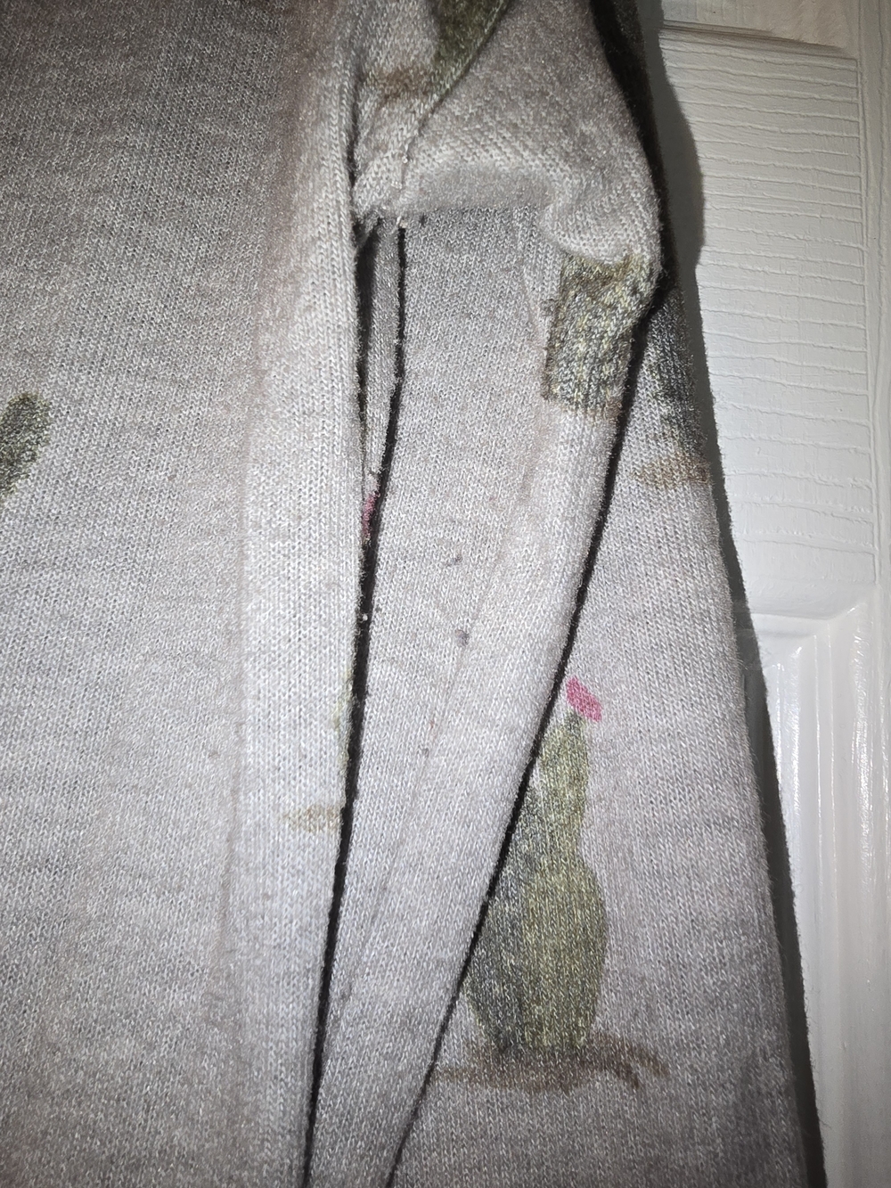 Cactus Too - Picture 5 of 6